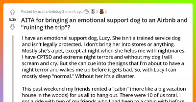 Heartless Friends Force Redditor's Emotional Support Dog To Sleep Outside Then Vote Them Out Of The Trip After Having Night Terrors
