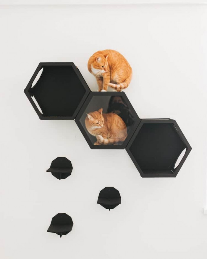 These hexagonal modular wall shelves not only look wonderful but also encourage feline play.