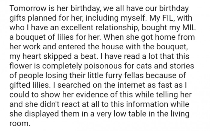 This flower is completely poisonous to cats