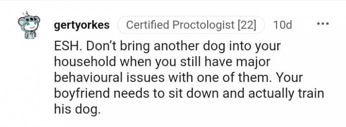 Your boyfriend needs to sit down and train your dog.