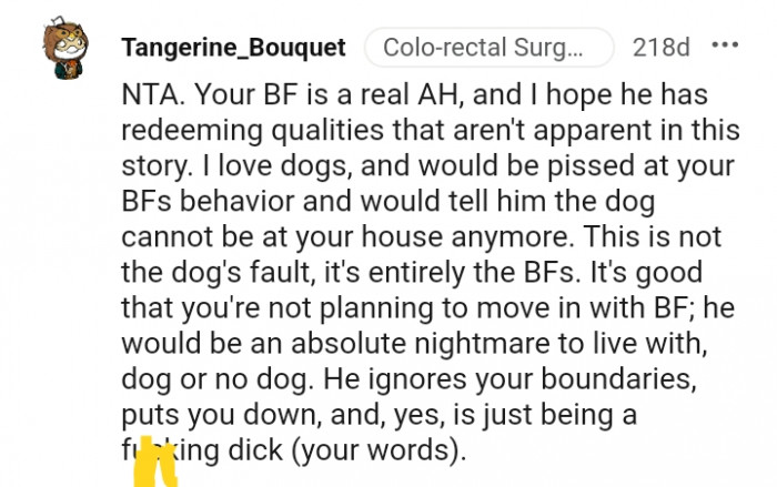 20. This is not the dog's fault