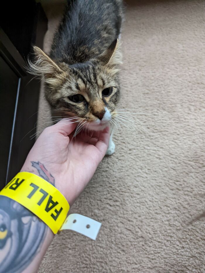 He saw an opportunity, and he took it.