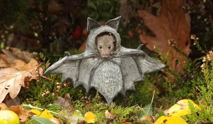 8. Bat Mouse, Now All We Need Is A Robin