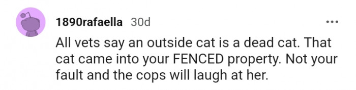 All vets say that an outside cat is a dead cat