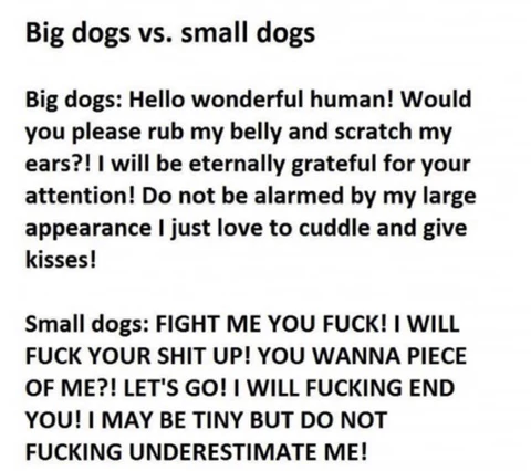 The Art and The Artist