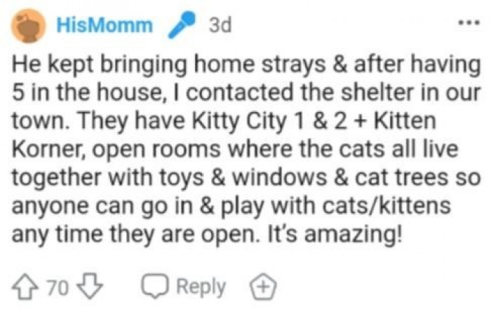 The OP shared another heartwarming statement