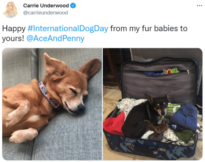 6. From one parent to another. Carrie Underwood wishes you all the best with her babies Ace and Penny:
