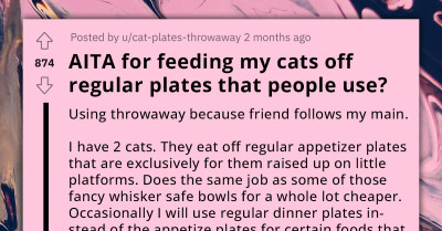 Redditor Gets Chewed Out By Friend For Serving Guests From The Same Plates Her Cats Sometimes Use