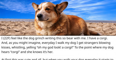 Corgi Owner Is Yelled At Because She Didn’t Allow A Random Woman To Pet Her Dog