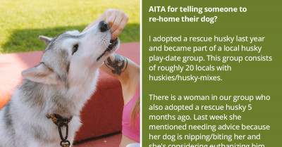 Dog Owner Gets Kicked Out Of Play-Date Group For Suggesting That Rehoming A Dog Is Better Than Euthanizing It