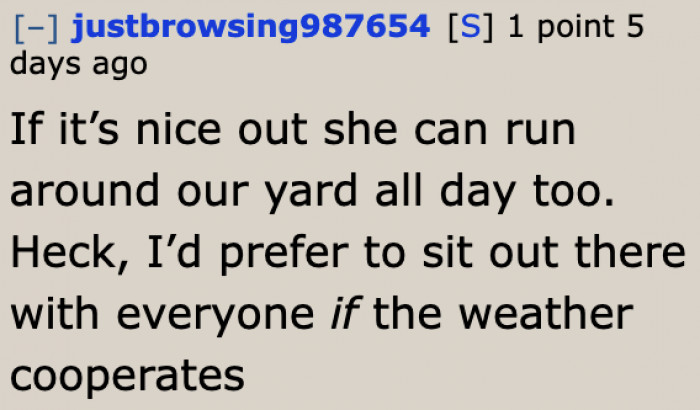 The OP is willing to let the dog run around outside as long as the weather's fine.
