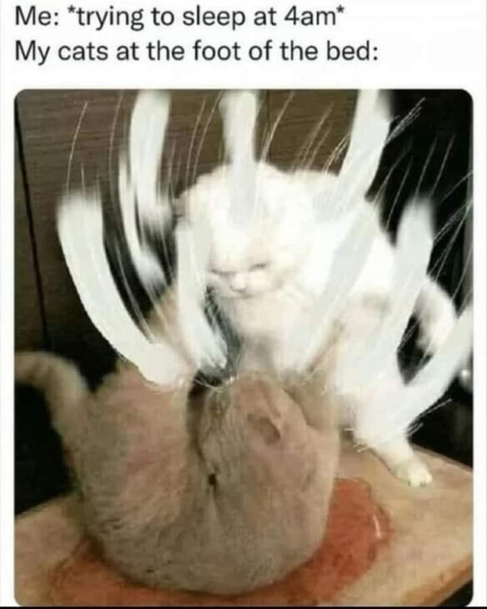 22. When you're trying to sleep at 4am