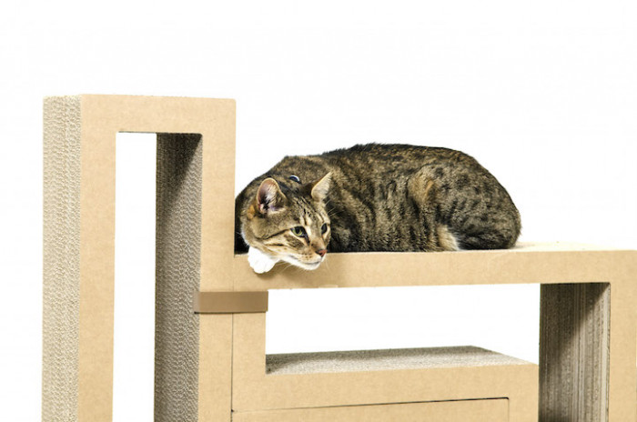 It will provide your cat with hours of fun and leisure time