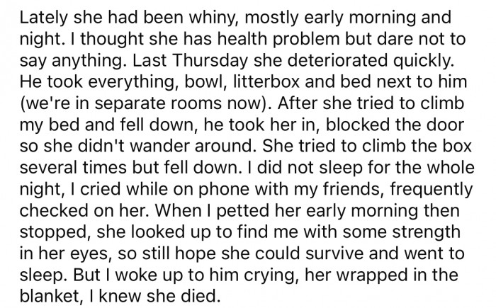 OP knew something had happened after seeing her boyfriend in tears.