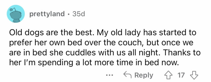 "Old dogs are the best."