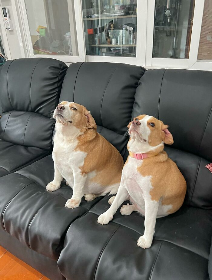 27. Synchronized sighing: a new Olympic event in pure disappointment.