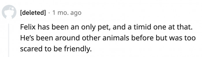 Felix probably won't do well at the parents' house if he's a timid, only cat