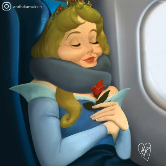 17. One of our favorite Disney princesses taking a nap 33,000 feet above sea level