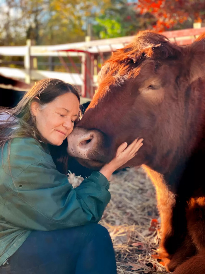 According to Ellie, once their cows learn to trust people, they can become very affectionate and will always crave some form of physical touch.