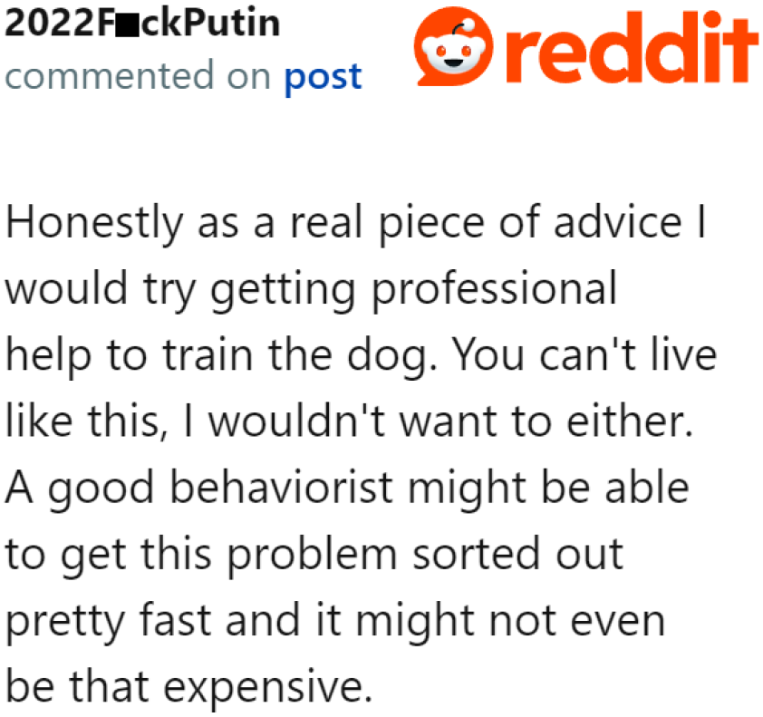 The OP should look into hiring a behaviorist to fix the dog's behavior.