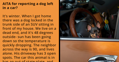 Woman Calls Emergency Services On A Dog Who Was Locked Inside A Car On A Hot Day, Husband Gets Mad At Her