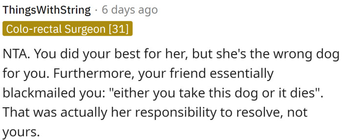 She's the wrong dog for the OP.