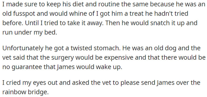 The dog's old age led to a health issue; the vet warned that costly surgery might not work. Tearfully, OP chooses to let James go peacefully.