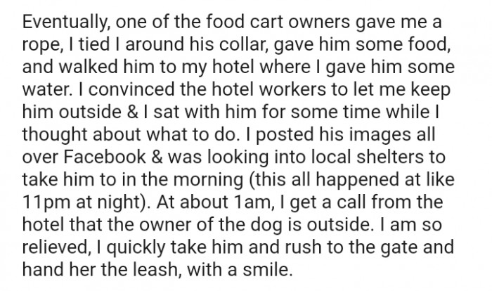 The OP Posted the Dog's Images All Over Facebook