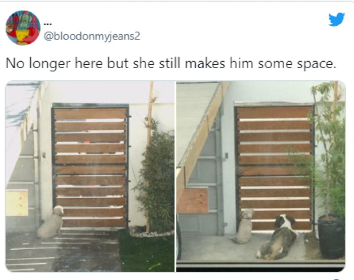 2. There is enough space—hoping his friend will come back...