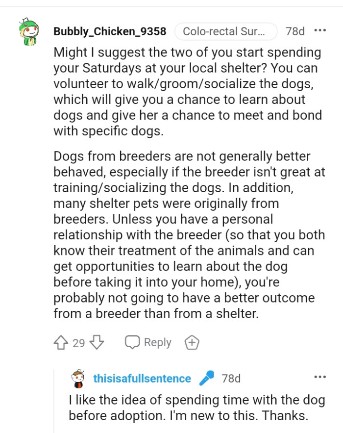 The OP can volunteer to walk or socialize with the dogs