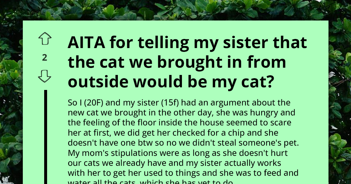 Intense Quarrel Brews As Eldest Takes Over Ownership Of New Cat She And Younger Sister Brought In