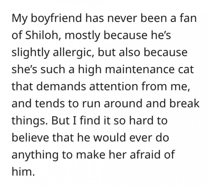 Shiloh is a high-maintenance cat