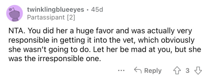 "She was the irresponsible one."