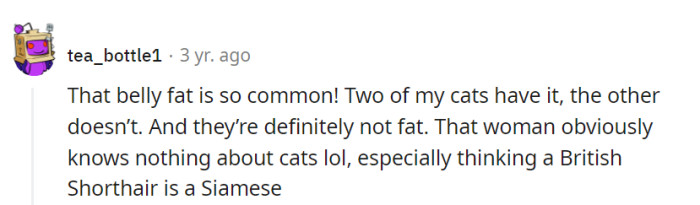 The cat belly pouch: where dreams of extra naps are stored! EG's cat expertise could use a little purr-suing.