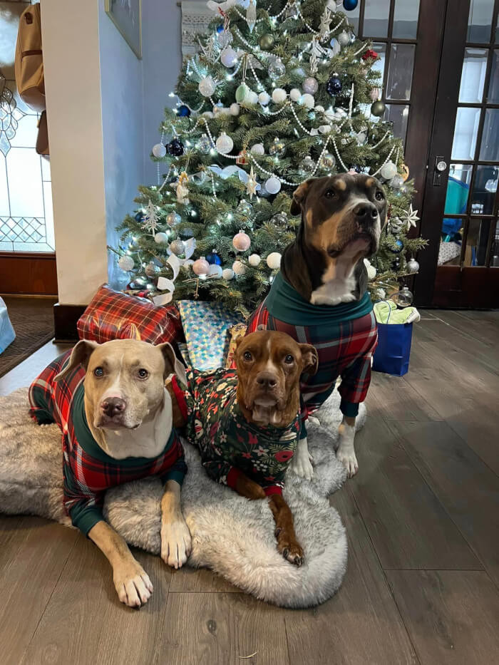 Emmy got to celebrate Christmas in a foster home surrounded by new friends