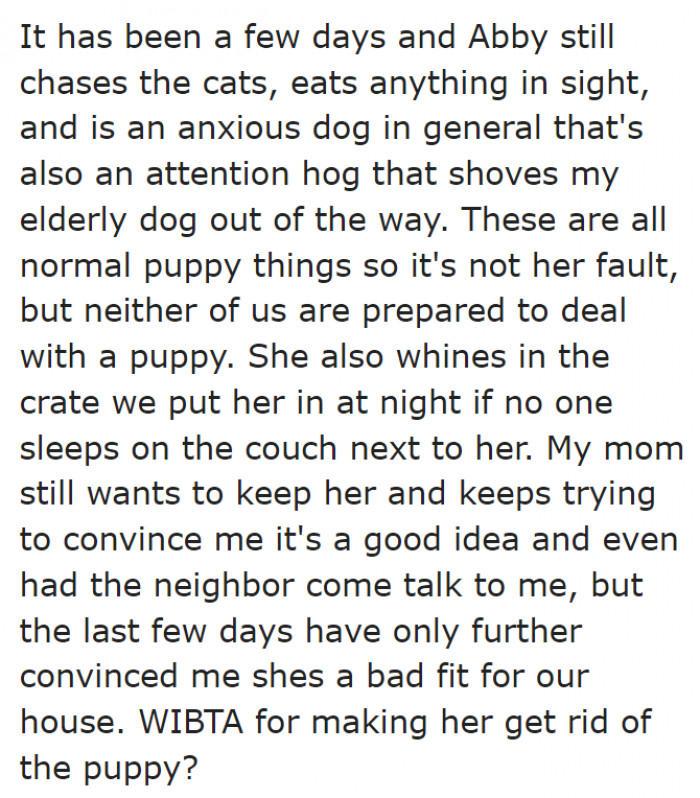 Abby, the newly adopted dog, isn't getting along with the other pets.