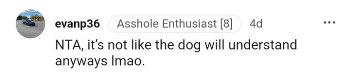 The dog would not understand anyway