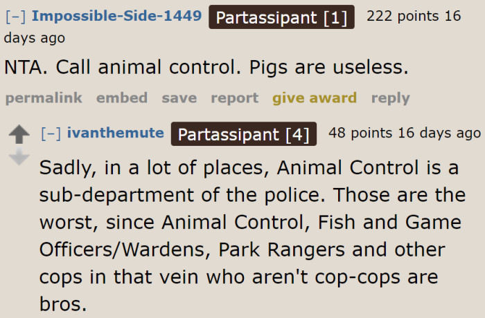 Calling animal control is an option, but they usually operate under the cops.