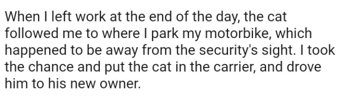 The OP took the chance and put the cat in the carrier