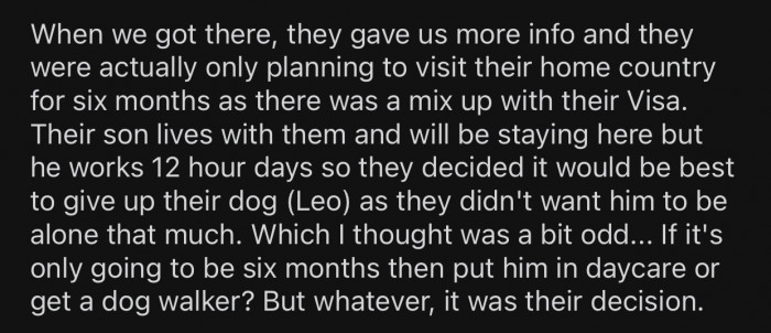 The family of OP’s newly adopted dog planned to leave the country for six months and decided to give their dog away.