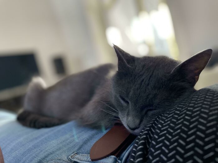 45. "Day 10 since I adopted her. Can’t imagine a life without her anymore."