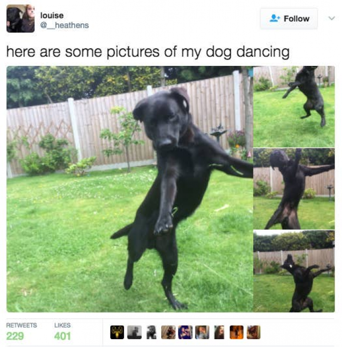 7. Okay, now these photos are golden. Look at how happy he looks.