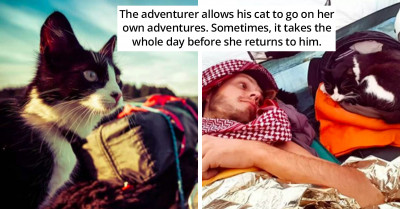Man Takes In A Stray Cat During His Travels And They've Been On A Road Trip Across The Country Ever Since