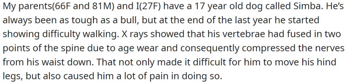 Her family has a 17-year-old dog with serious health issues.