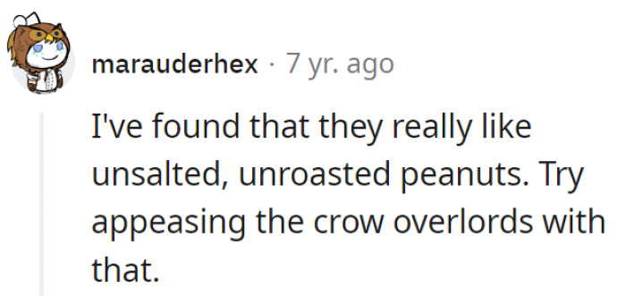 18. Peanuts might just be the key to all this crow madness