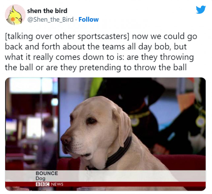3. Apparently, the BBC has dog reporters.