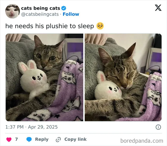 19. All criminals need emotional support plushies.