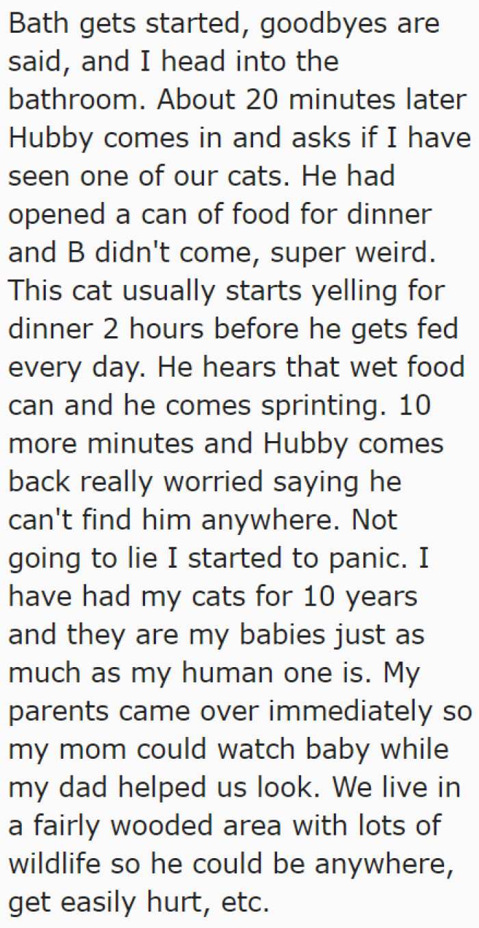 After the MIL left, they noticed that their cat went missing.