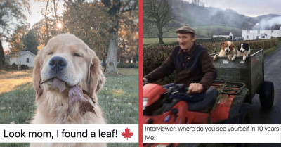 21 Of The Most Adorable Posts About Cats And Dogs We're Pawsitive You'll Love