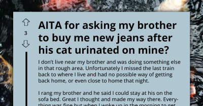 Man Demands Brother Pay For New Jeans After His Cat Ruined Them During Overnight Stay